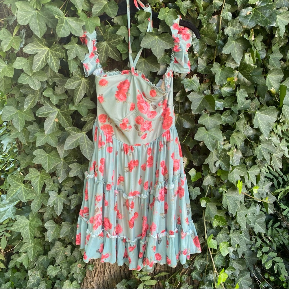Rose off the shoulder fancy dress